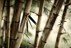 Наматрасники бамбуковые - Купить постельное белье в Екатеринбурге: Интернет-магазин Постелька 66